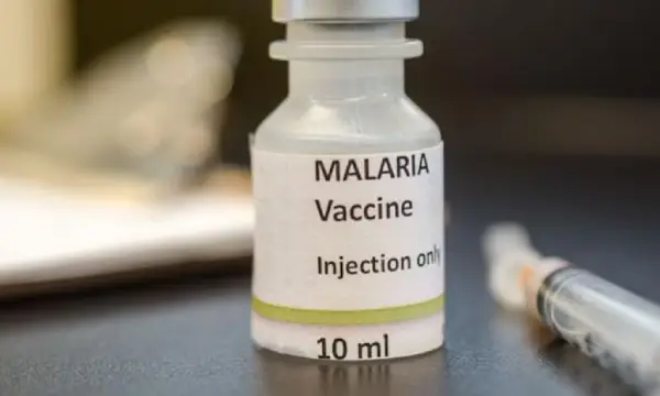 WHO recommends Oxford-Serum Institute malaria vaccine for global rollout