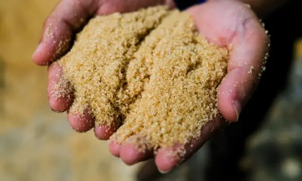 Govt proposes domestic sale of raw sugar, ending six-decade-old ban