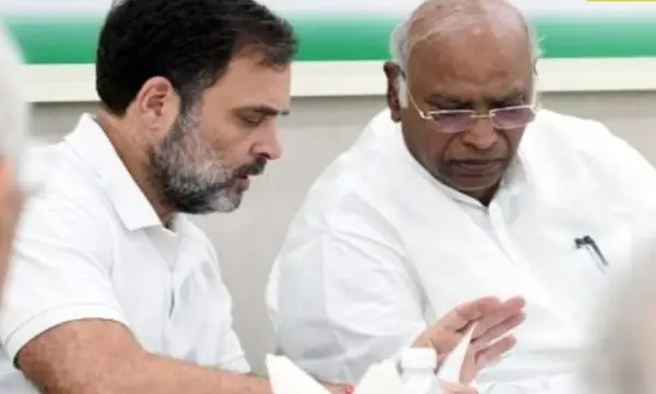 'Congress could have...': Here's what 'angry' Rahul Gandhi told party workers at review meet after Haryana poll debacle