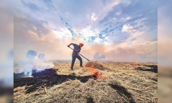 Stubble burning, a major cause of Delhi air pollution: Punit Renjen