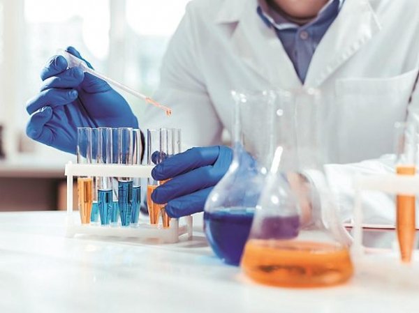 Gland Pharma rallies 8% on strong revenue growth in June quarter
