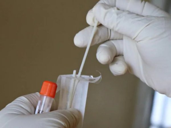 India records over 11,000 fresh Covid-19 infections, 255 fatalities