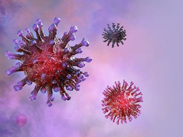 New strain of coronavirus discovered at Czech lab, biologist says