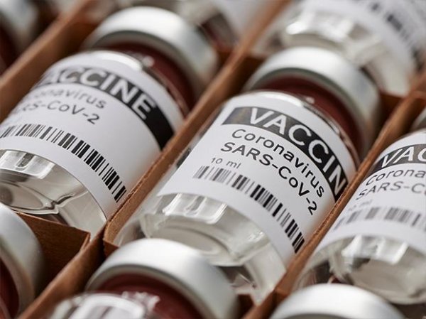 Single dose of Covid-19 vaccine can cut transmission by up to half: Study