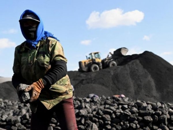 Coal India surges 32% in 4 days on improved outlook; stock nears 52-wk high