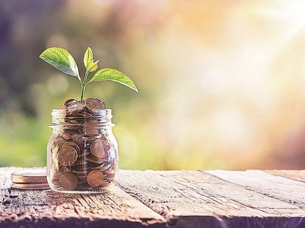 Policybazaar raises Rs 2,569 cr from anchor investors at Rs 980 per share