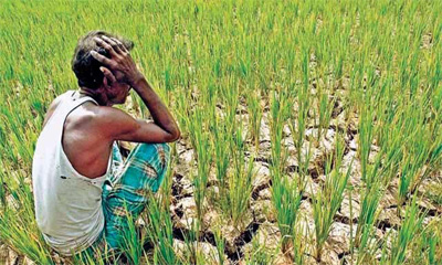Maharashtra: 300 cases of farmers' suicides recorded in November; Marathwada worst-affected