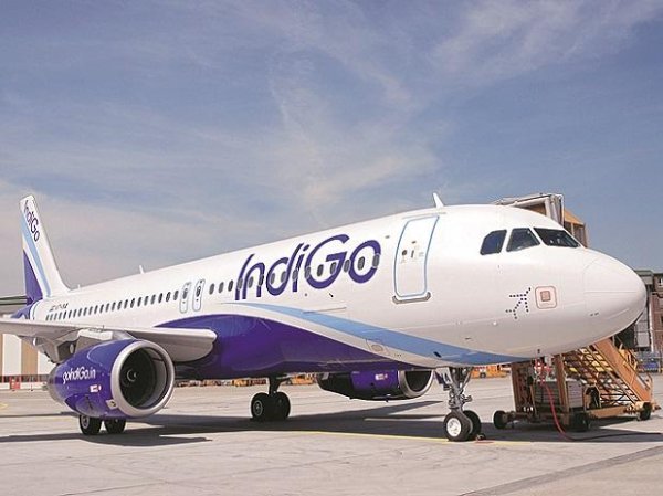 IndiGo appoints Rahul Bhatia as MD; to focus on airline's int'l presence