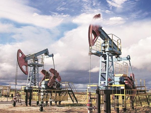 ONGC regains Rs 2-trn market cap as stock jumps 8% on higher oil prices