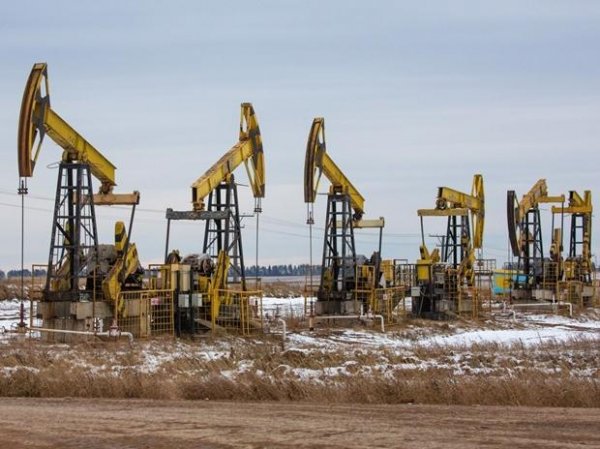 Oil hits 11-month high after Saudi Arabia pledges voluntary output cut