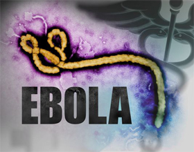 Ebola deaths top 8,000 in worst-hit West Africa, says WHO