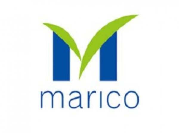 Marico rallies 6%, hits record high on healthy Sept quarter business update