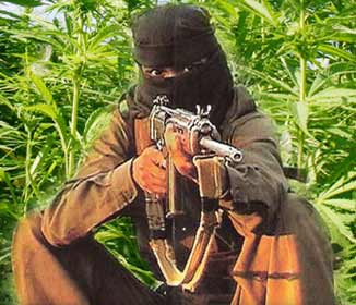 Andhra varsity professor held for suspected Maoist links