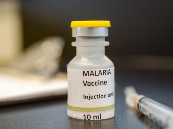 WHO recommends broad use of world's first malaria vaccine