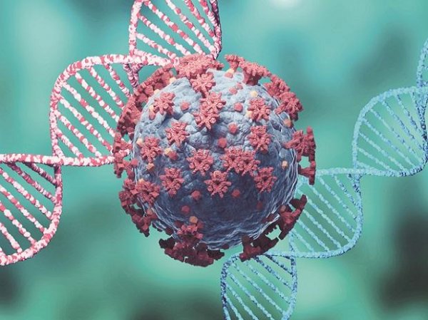 Cases of Lambda Covid-19 variant found in Canada: Chief health officer