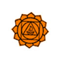 Yoga Vidya Pranic Healing Foundation of Andhra Pradesh