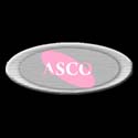 Asco Automatic Systems Co