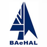 Baehal Software Ltd