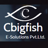 Cbigfish E-Solutions Pvt Ltd