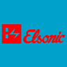Elsonic India Group