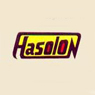 Hasolon Nylon Products Private Limited