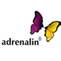 Adrenalin Esystems Ltd