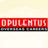 Opulentus – The Visa Company
